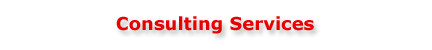 Consulting Services