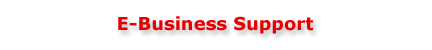 E-Business Support
